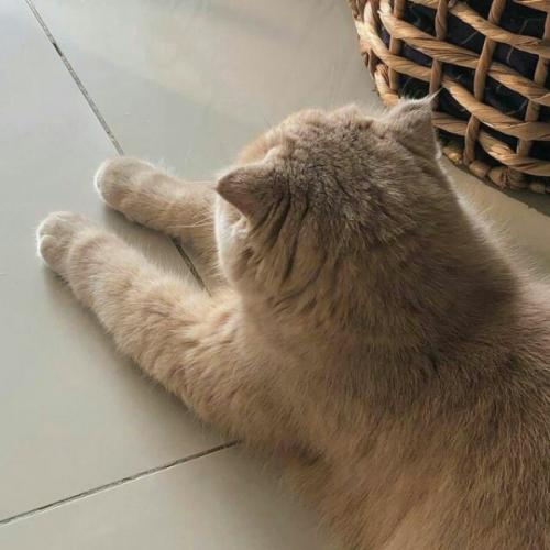 สมาชิกหมายเลข 5987592