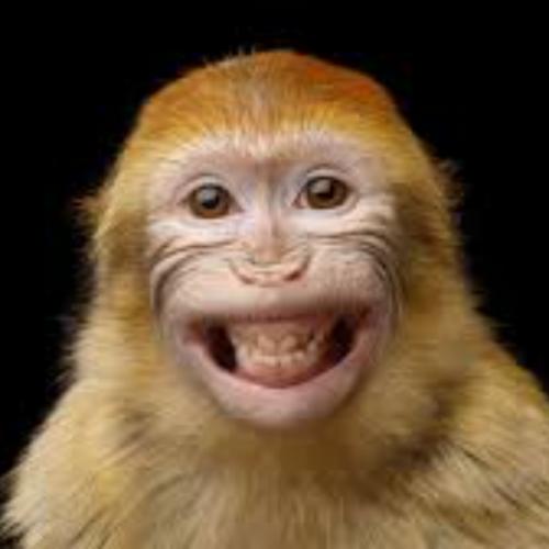 สมาชิกหมายเลข 5565714