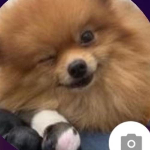 สมาชิกหมายเลข 6948439