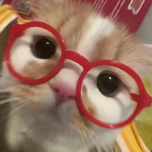 สมาชิกหมายเลข 8773753