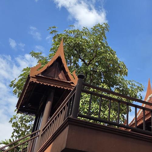 สมาชิกหมายเลข 9086825