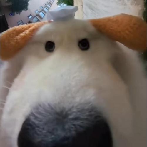 สมาชิกหมายเลข 9212274