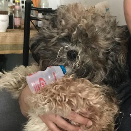 สมาชิกหมายเลข 4699604