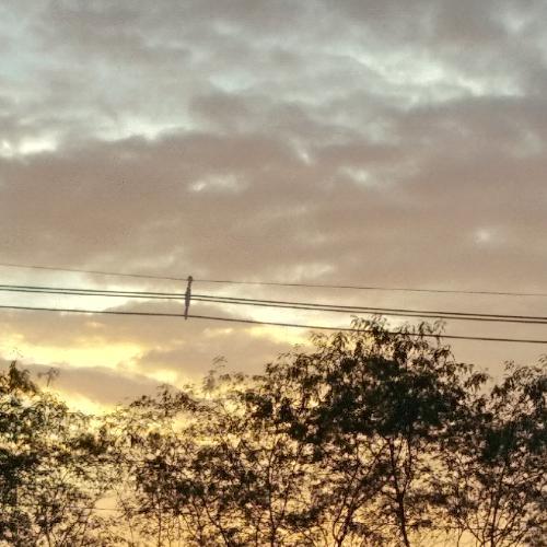 สมาชิกหมายเลข 3808199