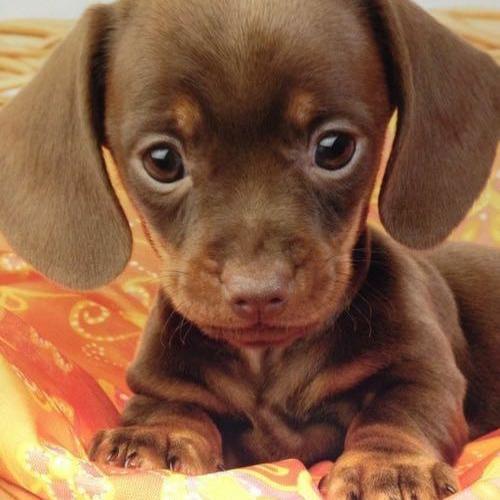 สมาชิกหมายเลข 5070626