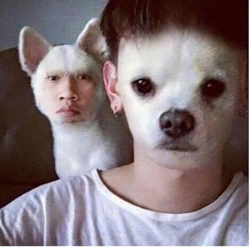 สมาชิกหมายเลข 5463646