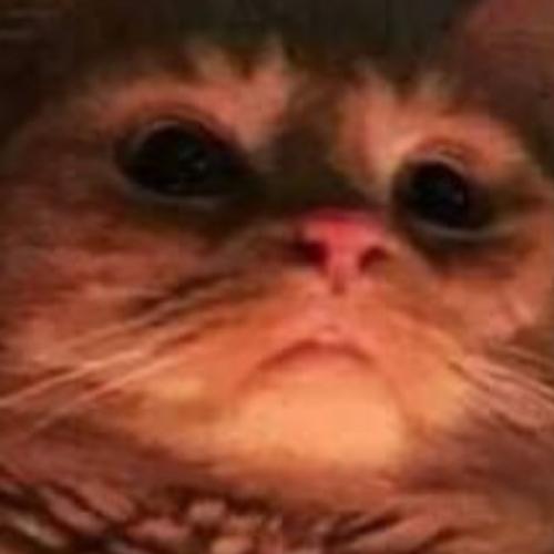 สมาชิกหมายเลข 777403