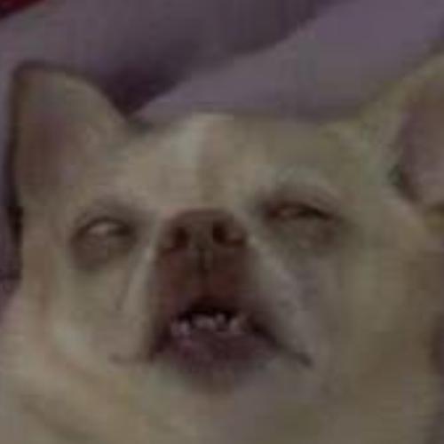 สมาชิกหมายเลข 2839446