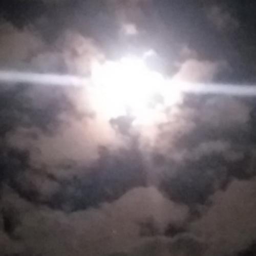 สมาชิกหมายเลข 7336094