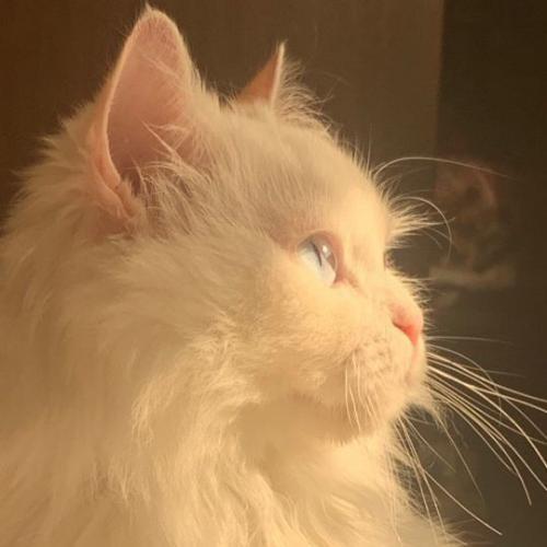 สมาชิกหมายเลข 8202729