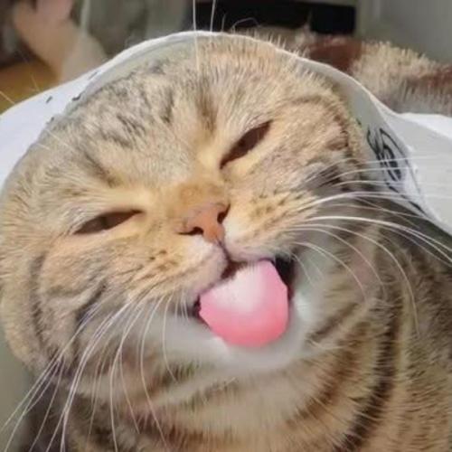 สมาชิกหมายเลข 7832620