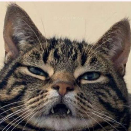 สมาชิกหมายเลข 9212293