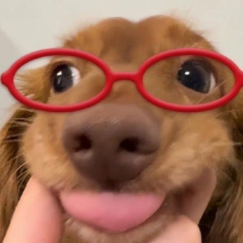 สมาชิกหมายเลข 9213068