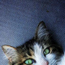 สีคราม sky sea