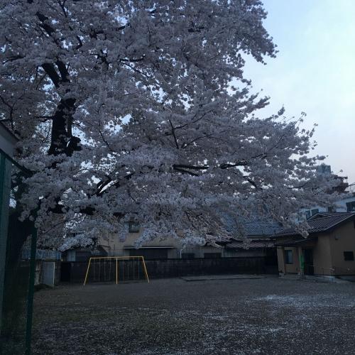 สมาชิกหมายเลข 4536982