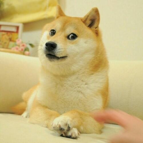 สมาชิกหมายเลข 4497067