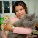 สมาชิกหมายเลข 5463907