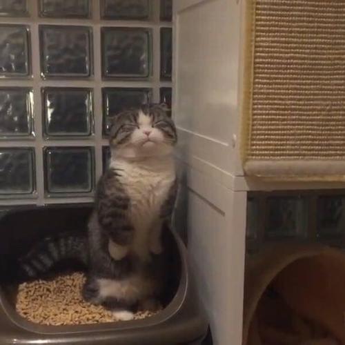 สมาชิกหมายเลข 4718959