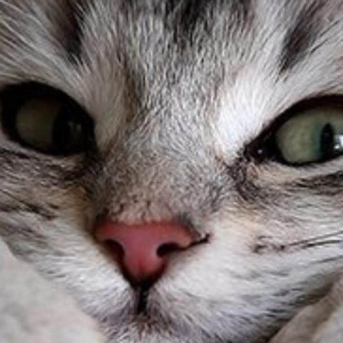 สมาชิกหมายเลข 5984479