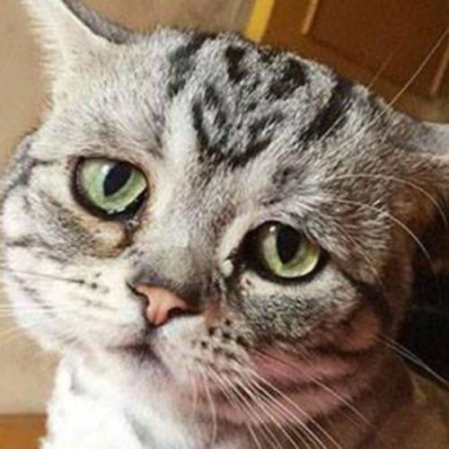 สมาชิกหมายเลข 5986517