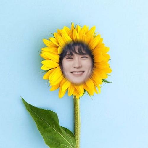 สมาชิกหมายเลข 5988592