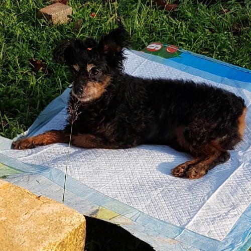 สิบสามสามหนึ่ง