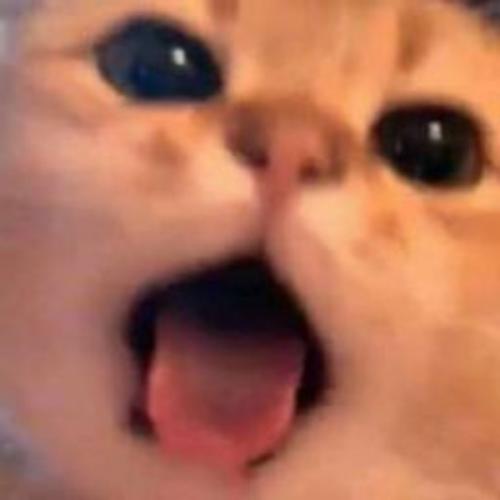 สมาชิกหมายเลข 4064391