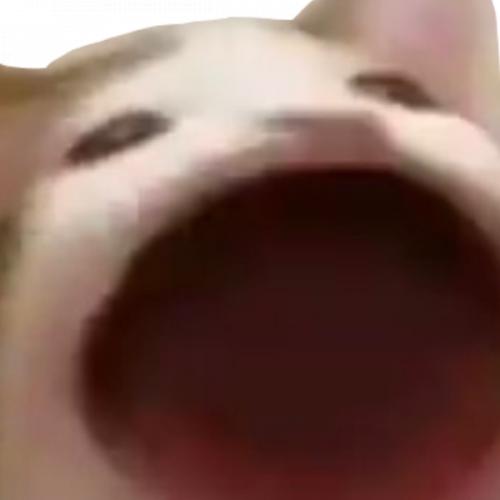 สมาชิกหมายเลข 6599030