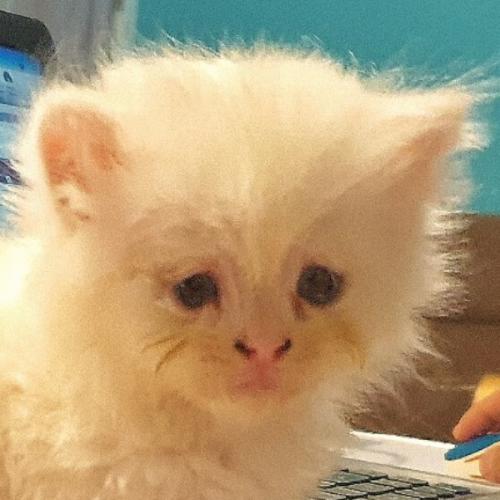 สมาชิกหมายเลข 1460062