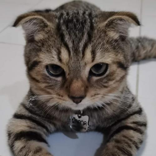 สมาชิกหมายเลข 1959669