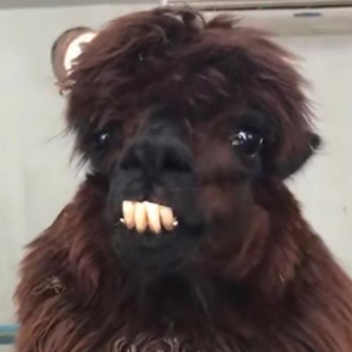 สมาชิกหมายเลข 8203168