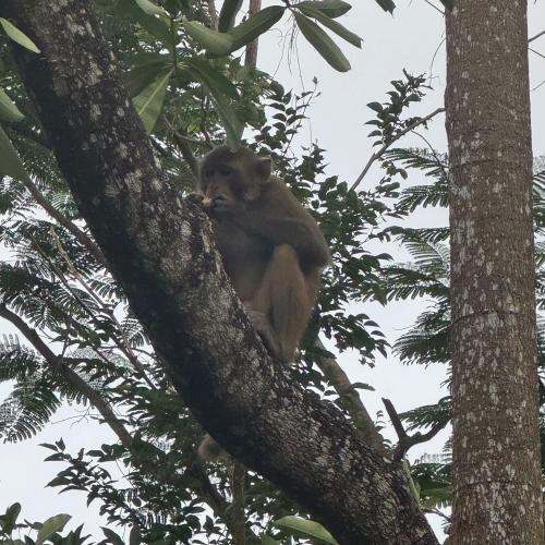 สมาชิกหมายเลข 3325394