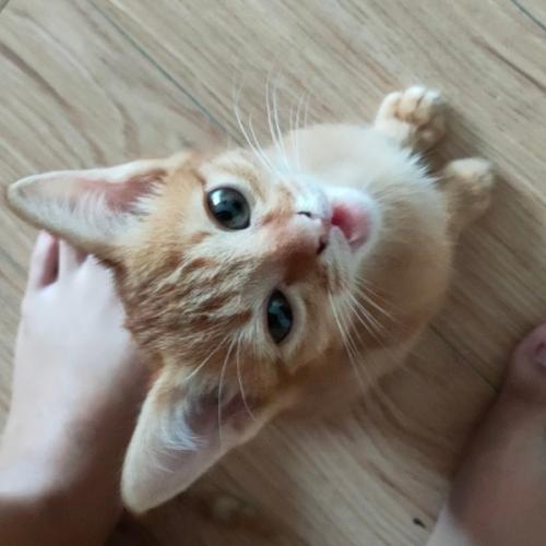 สมาชิกหมายเลข 6371499