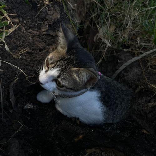 สมาชิกหมายเลข 8833091