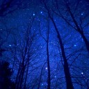 สมาชิกหมายเลข 2931181