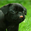 สมาชิกหมายเลข 2357107