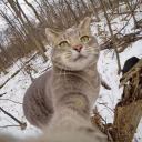 สมาชิกหมายเลข 4331418