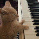 สมาชิกหมายเลข 2563524