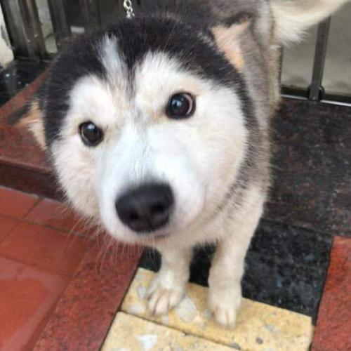 สมาชิกหมายเลข 4189116