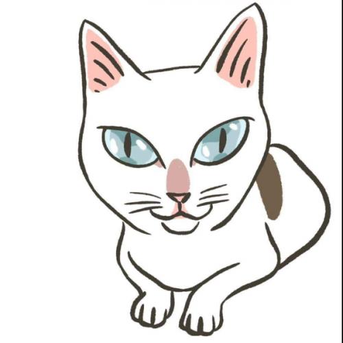 สมาชิกหมายเลข 1361003