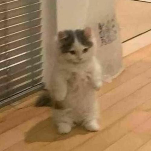 สมาชิกหมายเลข 6597758