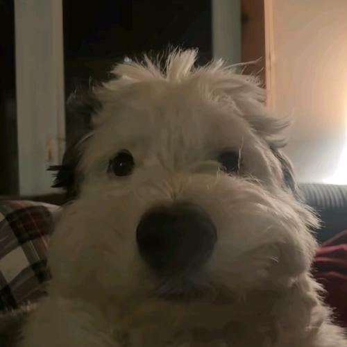 สมาชิกหมายเลข 7852347