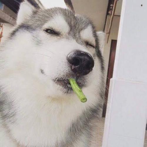 สมาชิกหมายเลข 9040432