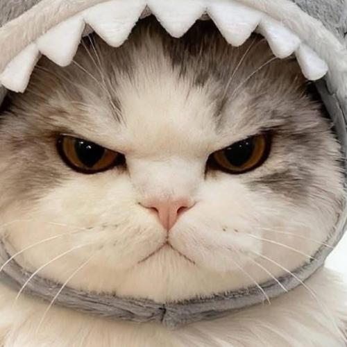 สมาชิกหมายเลข 9212532