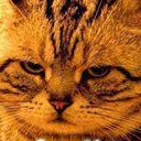 สมาชิกหมายเลข 1987459