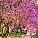 อนิจจานัง