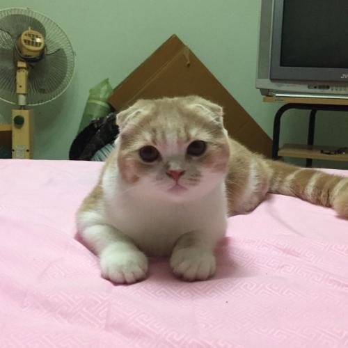 สมาชิกหมายเลข 2600053