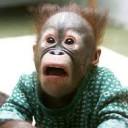 สมาชิกหมายเลข 4703079