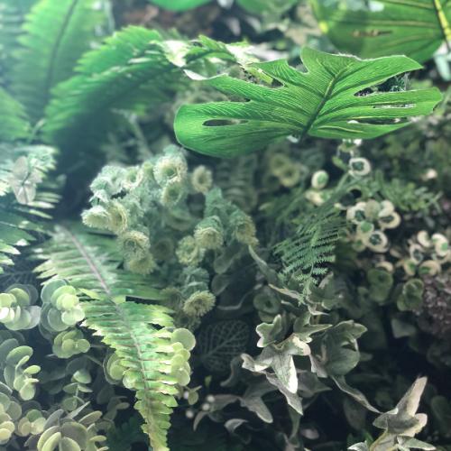 สมาชิกหมายเลข 5071580