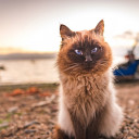 สมาชิกหมายเลข 5071602